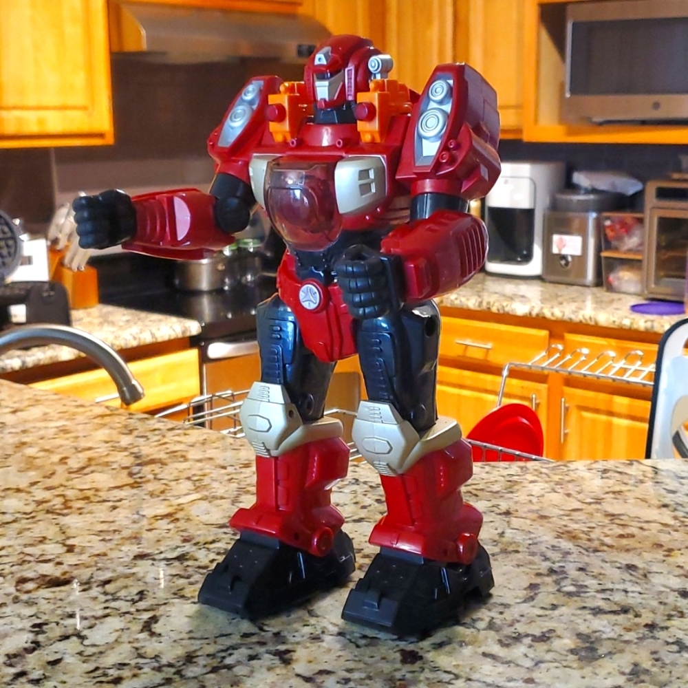 Robot